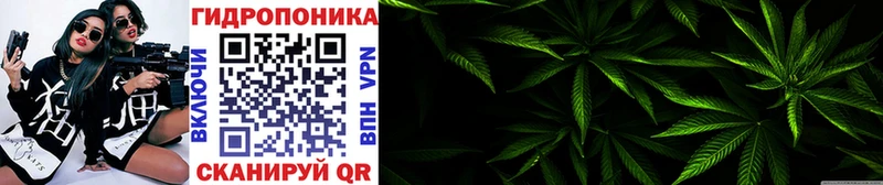 Какие есть наркотики Первомайск A PVP  Марихуана  МЕФ  ГАШИШ 