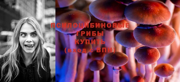 apvp Беломорск