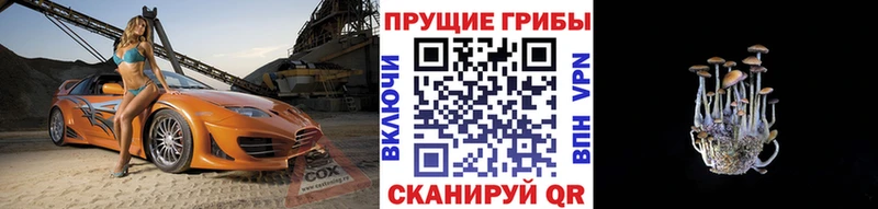 как найти наркотики  нарко площадка какой сайт  Галлюциногенные грибы мухоморы  Первомайск 